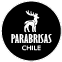 Parabrisas Chile